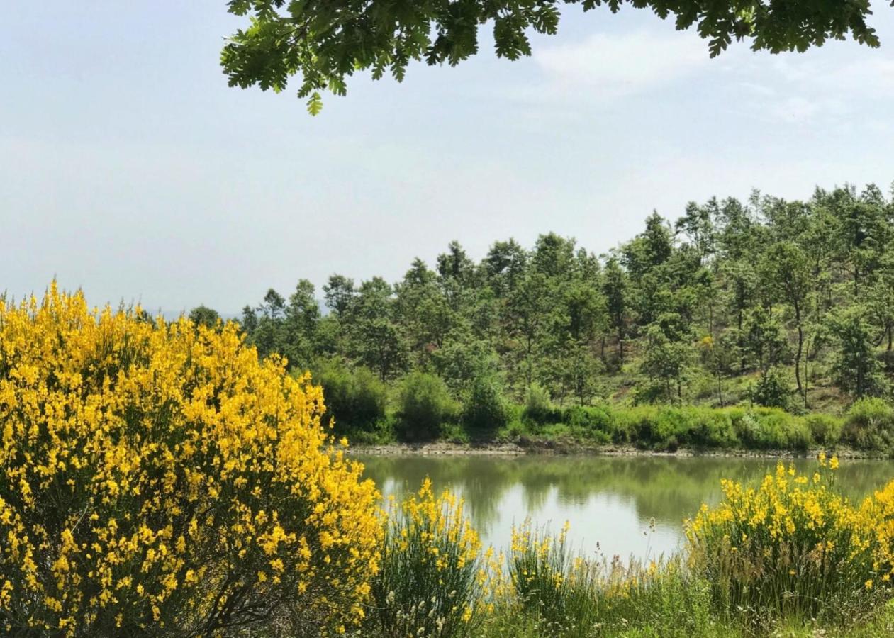 Borgo Poggio Bianco Βίλα Sarteano Εξωτερικό φωτογραφία